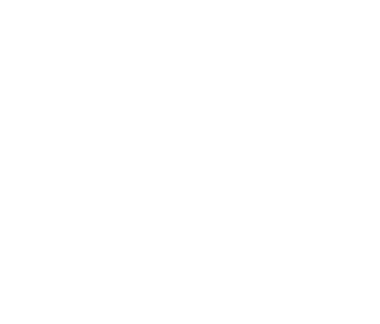 Ingenious strategies that propel brands to succeed.